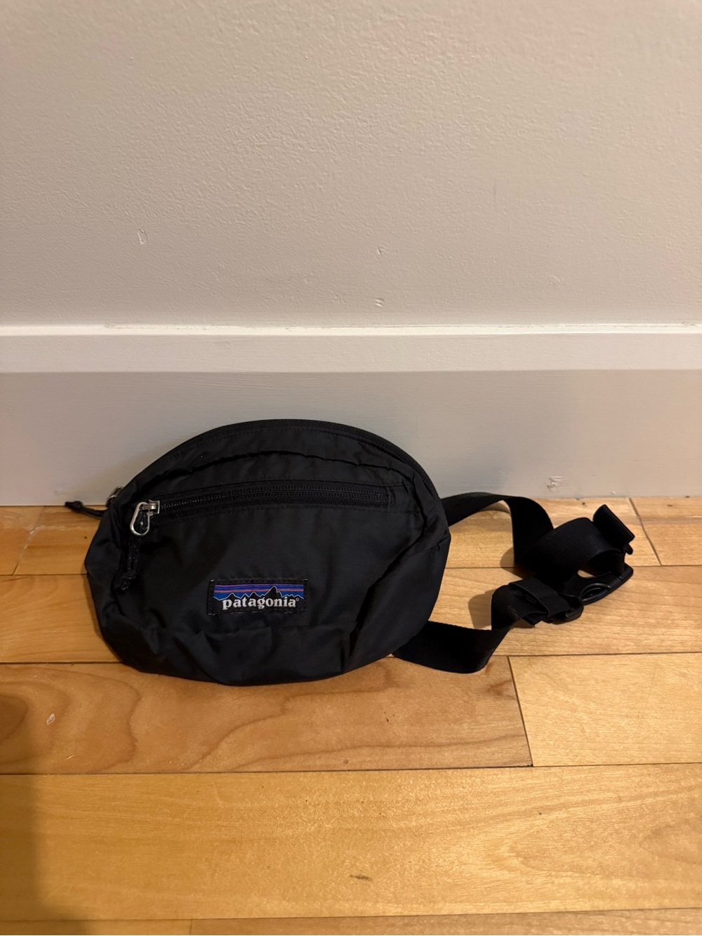 Patagonia Black Waist Pack with Front Zip Pocket